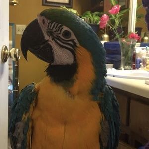 Meet your Posher, Debra